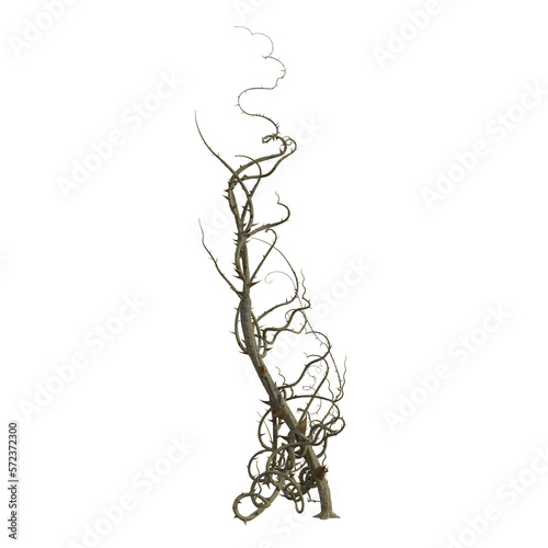 Fototapeta Naklejka Na Ścianę i Meble -  3d render isolated briar thorn patch