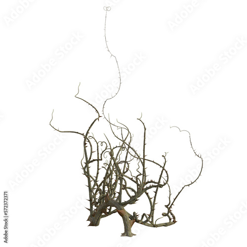 Fototapeta Naklejka Na Ścianę i Meble -  3d render isolated briar thorn patch