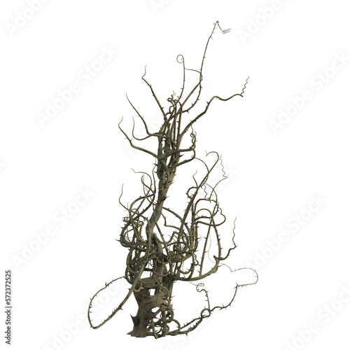 3d render isolated briar thorn patch photo