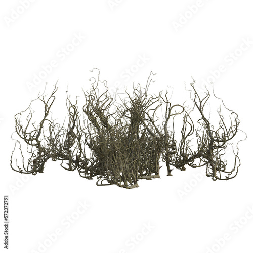 3d render isolated briar thorn patch