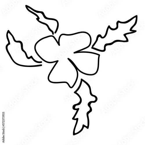 Outline Flower. Floral Illustration. Hand drawn continuous line wild elegant herb. Modern botanical rustic greenery.