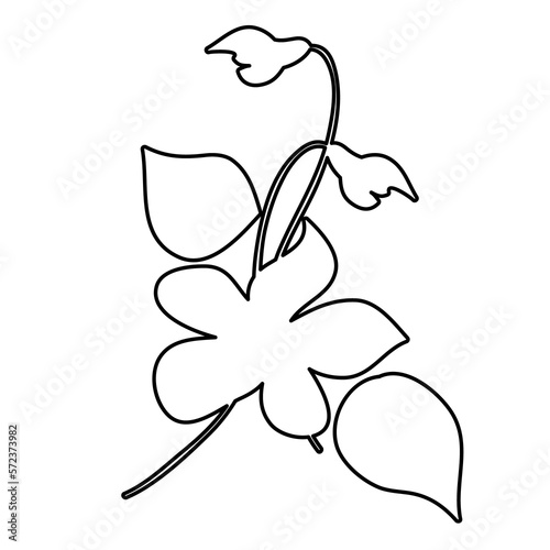 Outline Flower. Floral Illustration. Hand drawn continuous line wild elegant herb. Modern botanical rustic greenery.