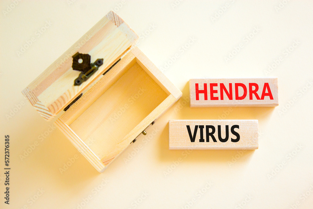 Hendra virus symbol. Concept words Hendra virus on wooden block. Beautiful white table white background. Empthy opened wooden chest. Medical hendra virus concept. Copy space. Hendra virus symbol. Concept words Hendra virus on wooden block. Beautiful white table white background. Empthy opened wooden chest. Medical hendra virus concept. Copy space.