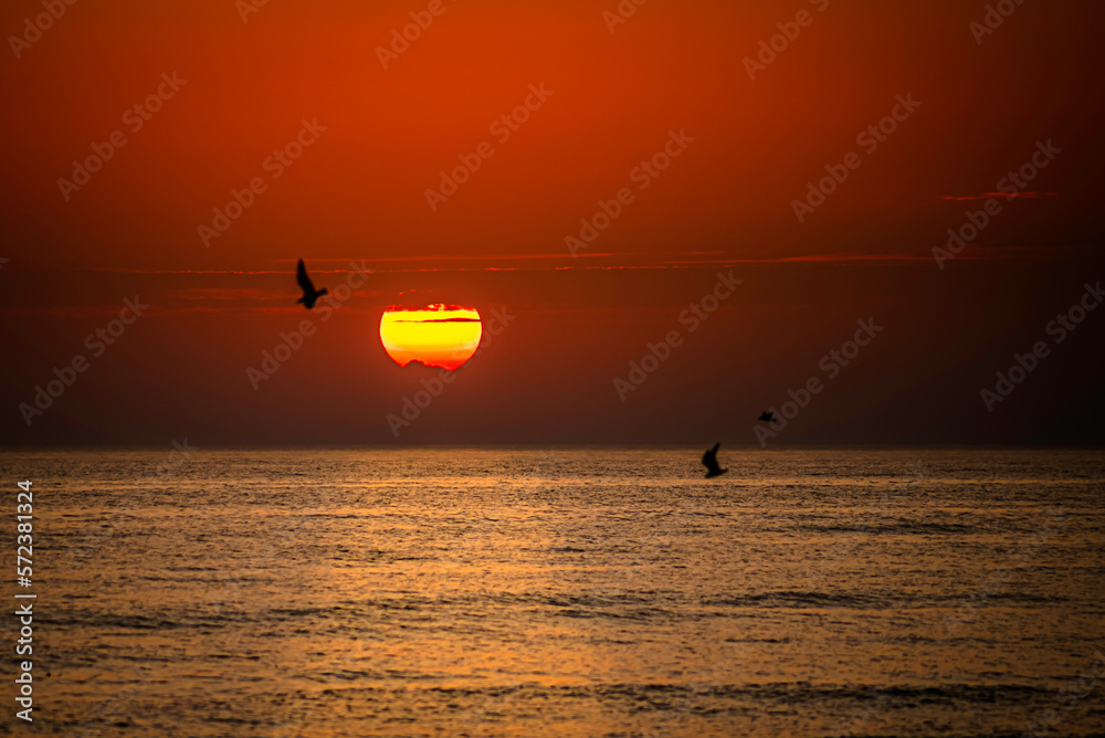 Fototapeta premium Wonderful red sunset behind some very light clouds and silhouettes of couple seagulls hovering in the air