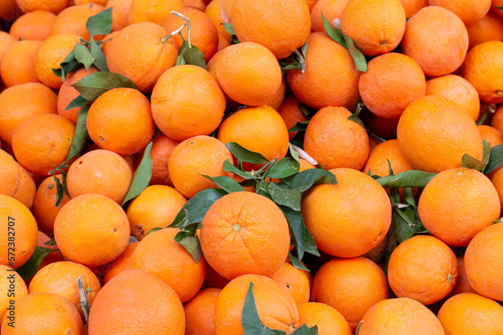 Bulk oranges for sale in the market