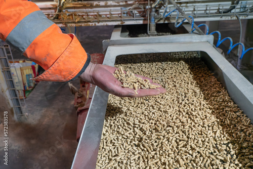 Herstellung von Holzpellets aus Holzspäne und Hackschnitzel (Trocknung mit erneuerbaren Energien) für effiziente Pelletsheizungen. photo