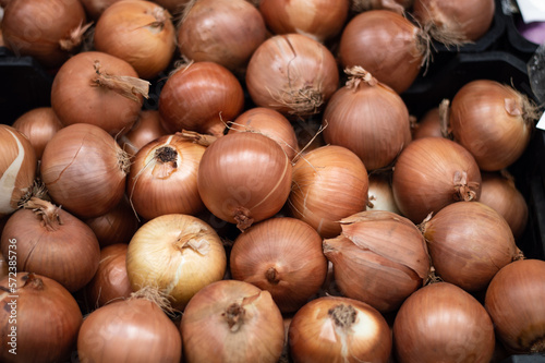 Bulk onions for sale in the market