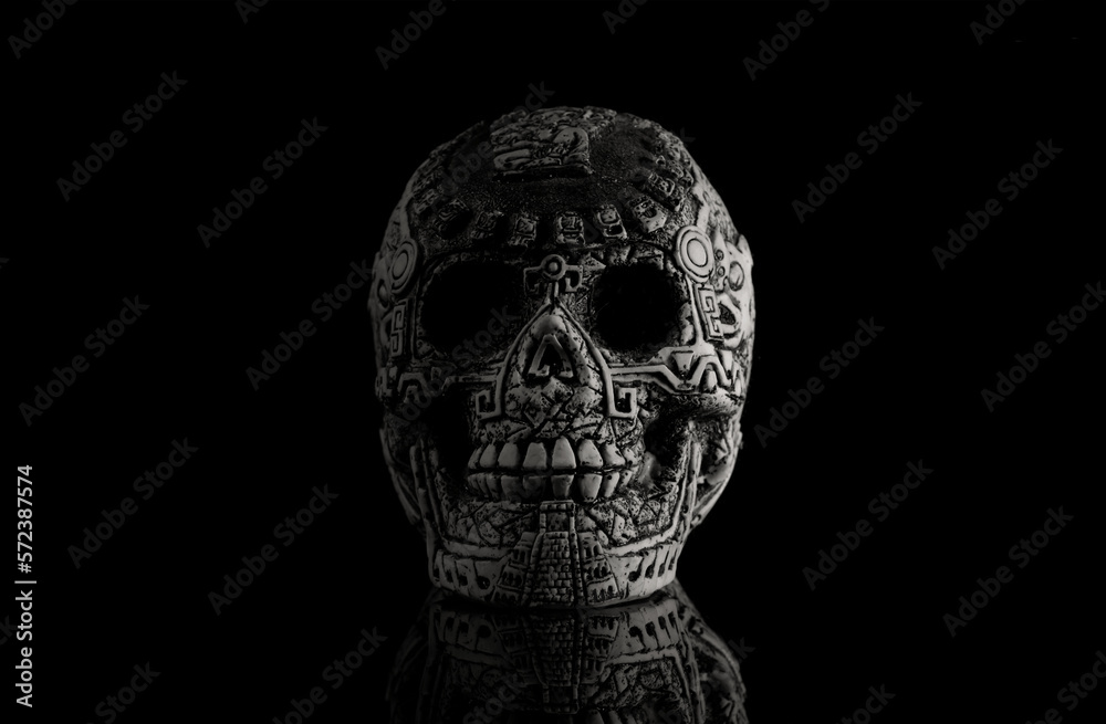 skull, scary, halloween, toten schädel, bone skull, scary, halloween, toten schädel, bone
