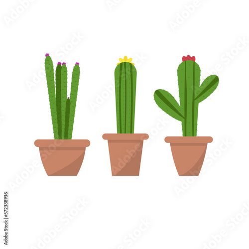 set of exotic flowering, flat style cacti in pots. Home plants cacti are located on a white background, completely ready for use, if necessary, you can edit them to your taste