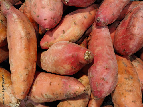 Sweet potato Ipomoea batatas or yam on display, group of objects