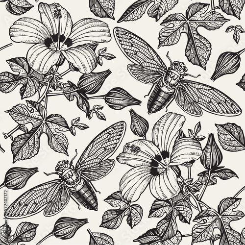 Hibiscus cicadas fly Flowers mallow insects fauna. Seamless Pattern. Drawing engraving isolated. Freehand realistic Beautiful background blooming flowers. Floral baroque Vintage Victorian illustration