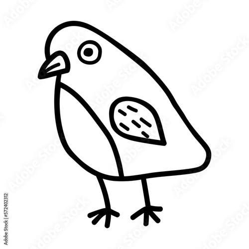 Hand drawn bird doodle style vector illustration isolated on white