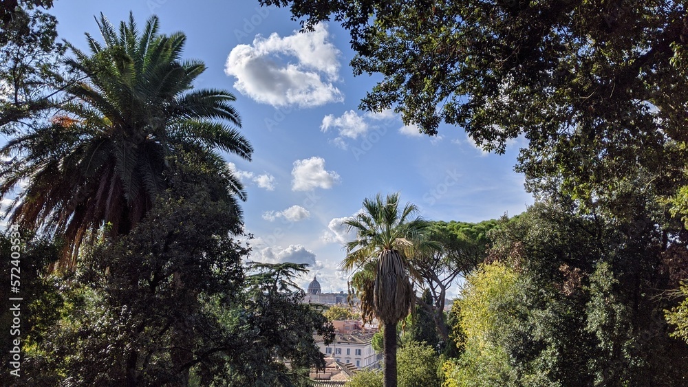Palm trees in Rome Botanical Gardens