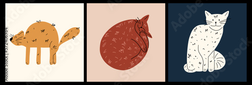 A set of funny cute cats in different poses in the style of hand drawing. Collection in different poses of pets. Vector illustration
