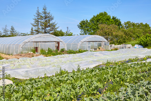 Photo of an organic vegetable farm with greenhouses in distance. © MaciejBledowski