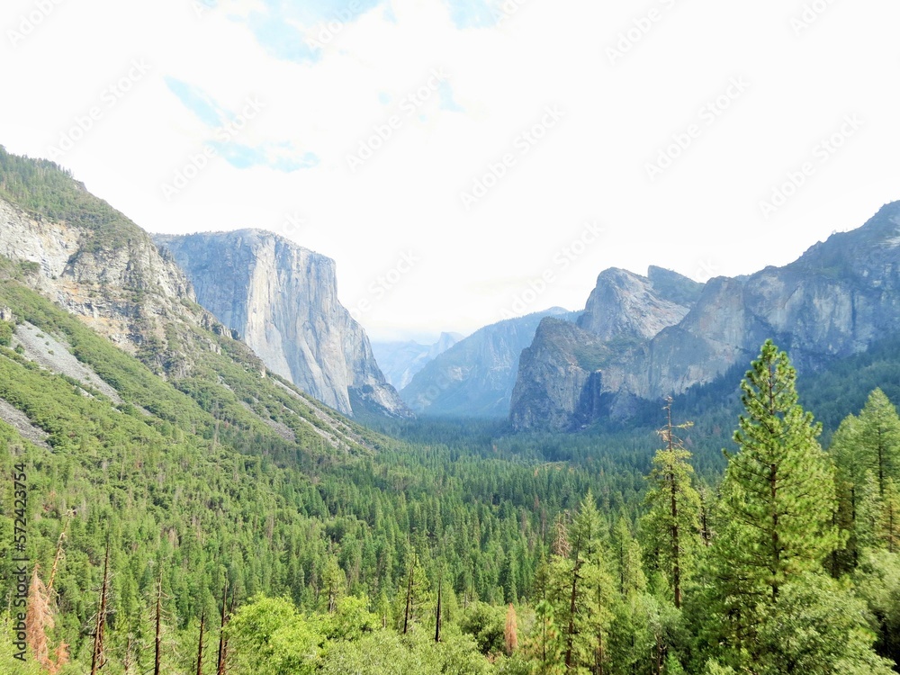 Fototapeta premium Yosemite National Park - California – USA