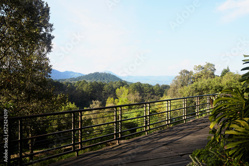 Terraza  de pisos de madera vieja y barandal de metal con vista al bosque .