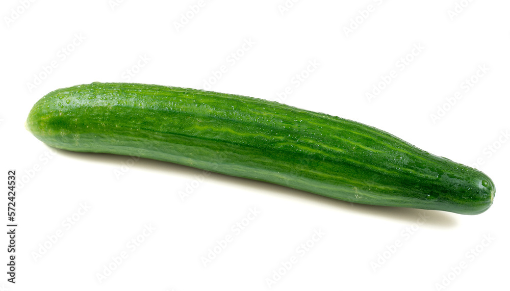 Single green Cucumber, moist with dew or droplets. Isolated on white background. Single green Cucumber, moist with dew or droplets. Isolated on white background.