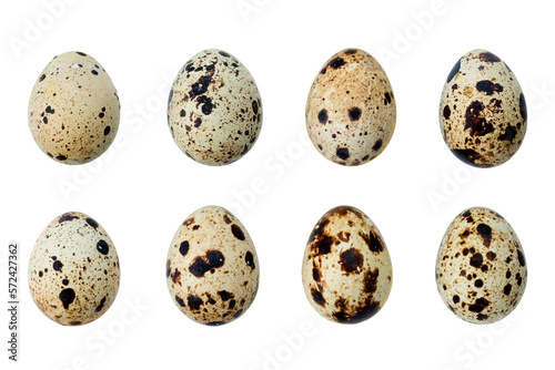 Brown quail egg isolated on white background. Full Depth of field. Focus stacking. PNG photo