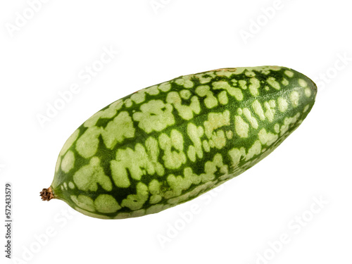 Cucamelon  Melothria Scabra mexikani Minimelone Mausmelon.  isolated on a white very cloce macro. one green spotted and striped cucumber photo