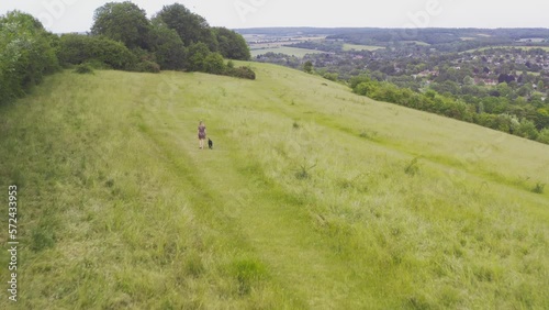 Drone shot of woman with pet black Labrador dog walking away from camera on Streatley Hill in West Berkshire UK through summer field with village in background photo