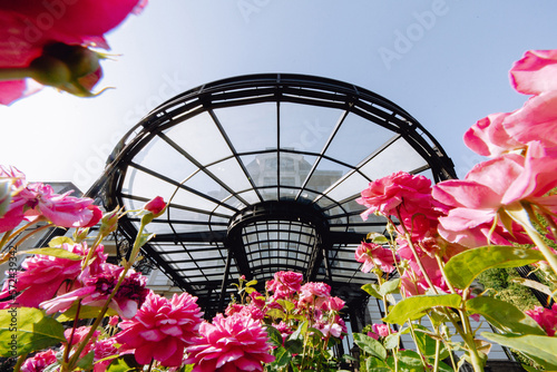 Glass arch everywhere roses on the background of the sky in the rosarium. photo