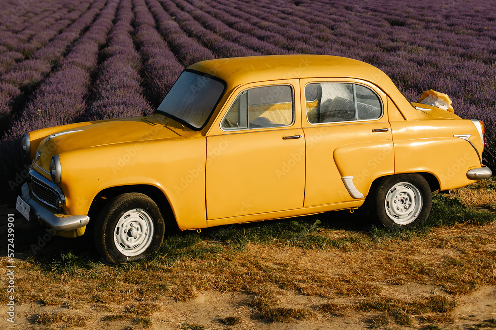 Yellow retro car in a lavender field in the morning with fog and sun. Yellow retro car in a lavender field in the morning with fog and sun.