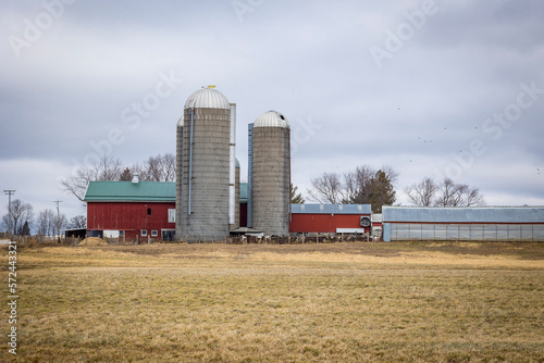 A red dairy barn with two stave silos and Holstien dairy cows with attached freestall barns. photo