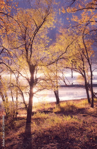 Autumn trees along Lake Champlain in Miton  Vermont.
