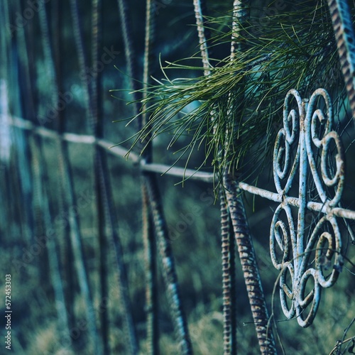 Fotografia Beautiful defocused background wallpaper treacherous fence and pine branches dar