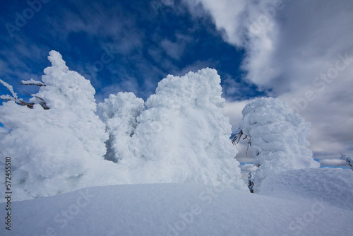 snow ghosts © Damon