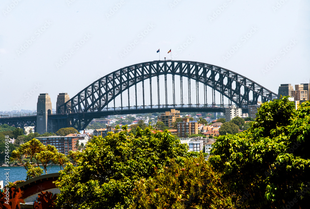 Fototapeta premium Sydney Harbour
