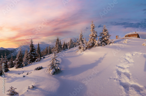 Morning winter mountain panorama  Carpathian  Ukraine .