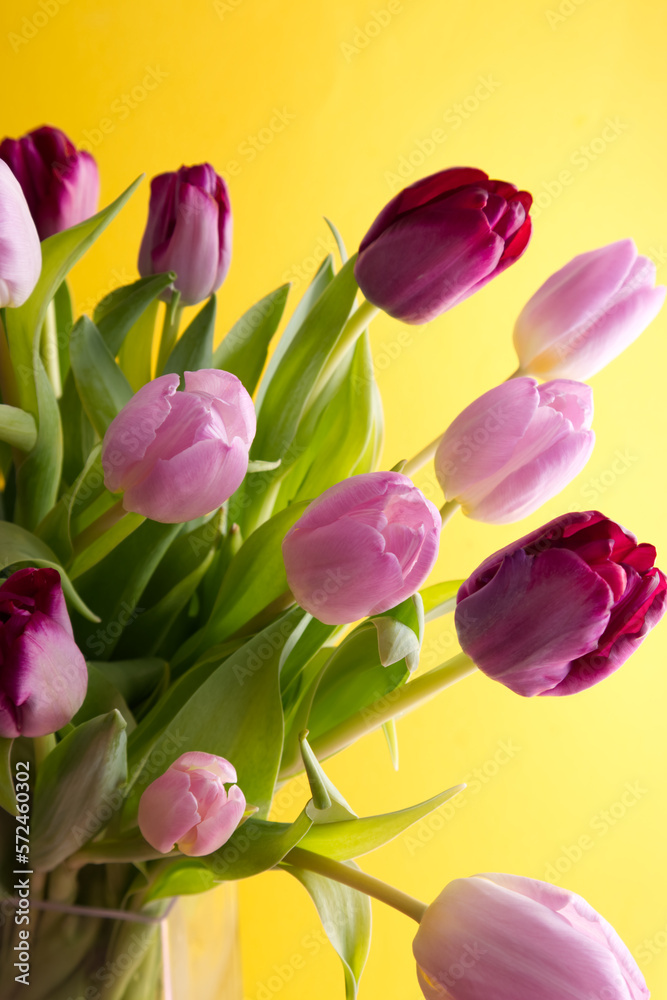 Bouquet of pink and lilac tulips on a yellow background close-up