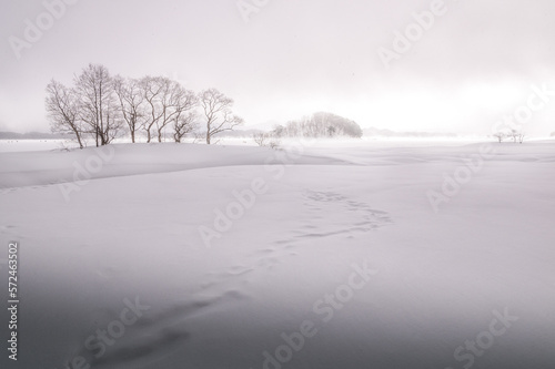 福島県北塩原村 檜原湖の雪原