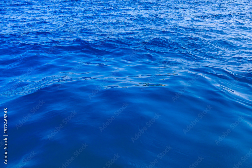 Fototapeta premium Very nice sea water background or backdrop with selective focus. Small waves of natural water surface texture.