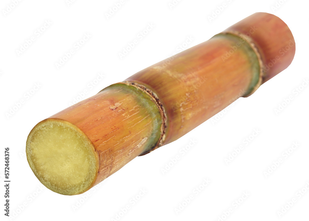 Piece of sugarcane