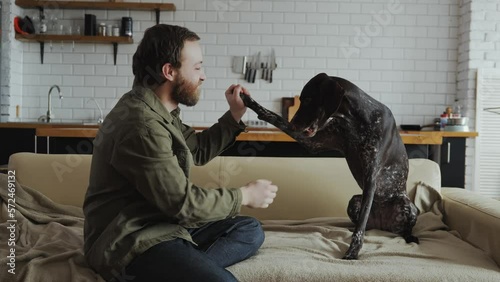 A man of the millennial generation sits at home on the couch with his Kurtzhaar dog and trains her, teaches her to high five. Training and training of pets. Happy owner and pet. High quality 4k photo