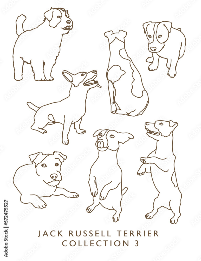 Jack Russell Terrier Dog Outline Illustrations in Various Poses Collection 3