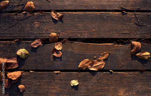 dry leaves on the old and weathered wooden floor