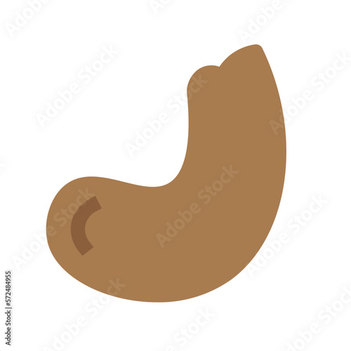 Cashew Nut Flat Icon
