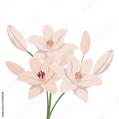  isolated bouquet white lilies to celebrate woman's day, present, flower