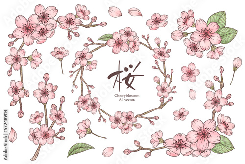 桜の水彩風フレームイラストセット　主線あり、ベクター