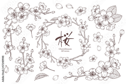 桜のスケッチ風フレームイラストセット　白塗り線画、ベクター