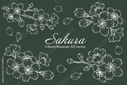 桜のチョークアート風カットイラストセット　白線、ベクター