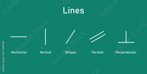 Types of lines in mathematics. Horizontal, vertical, oblique, parallel and perpendicular lines.