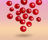 Delicious ripe cranberries falling on color background