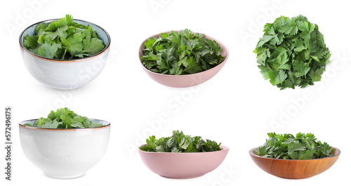 Collage of bowls with fresh green parsley on white background, top and side views
