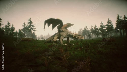 Forest Dragon 3D Video Animation