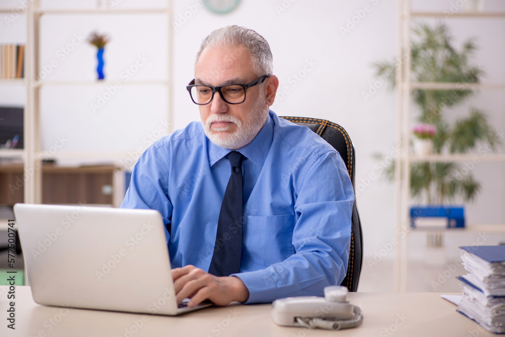 Old male employee working in the office